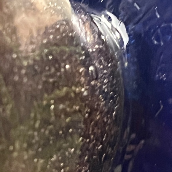 DAUM NANCY CORDIALS BUBBLEGLASS HANDBLOWN GLASS SET 5pc VERY RARE GLASS - Picture 10 of 16